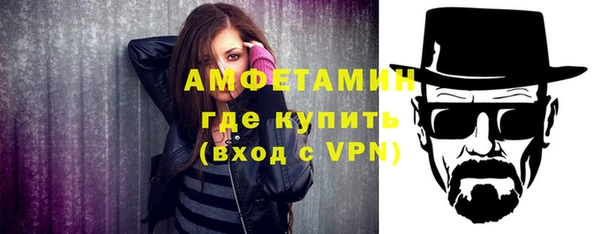 гидра Богданович