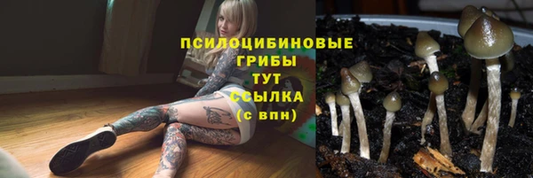 прущая мука Бородино