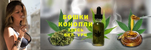 прущая мука Бородино