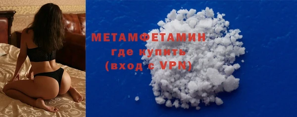 гидра Богданович