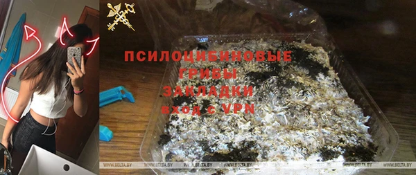 прущая мука Бородино